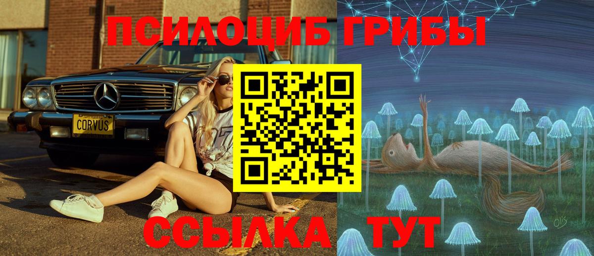 Кингисепп  Галлюциногенные грибы Psilocybe  Вход с VPN  Галлюциногенные грибы мухоморы 